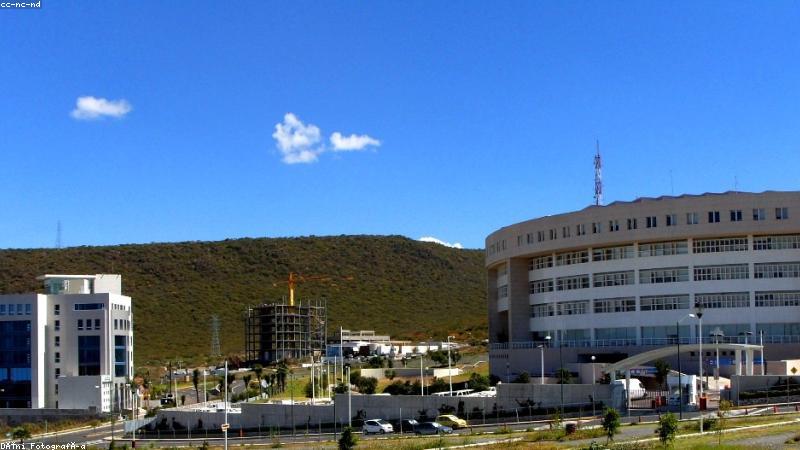 代码托管平台上开源仓库分发与检索的可视化示意